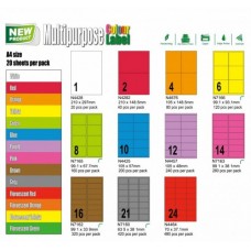 New Star A4 Multipurpose Label (24 Labels) (Limited Stock in Store)